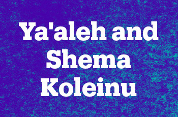 Ya'aleh and Shema Koleinu