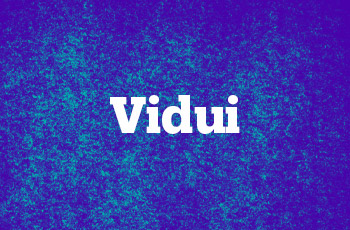 Vidui